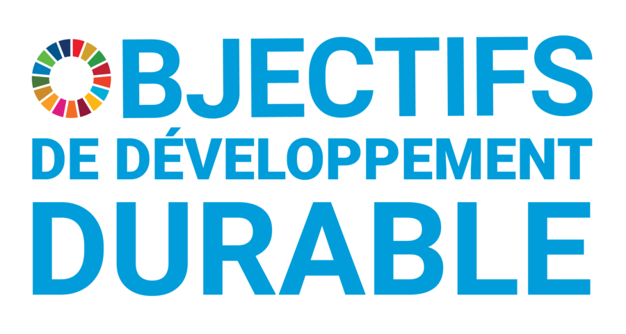 F_SDG_logo_without_UN_emblem_Square_Transparent_WEB